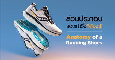 คู่มือซื้อรองเท้าวิ่ง : มารู้จักกับส่วนต่างๆ ของรองเท้าวิ่งกันเถอะ - Rev Online